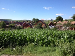 6. Romanian Corn Field